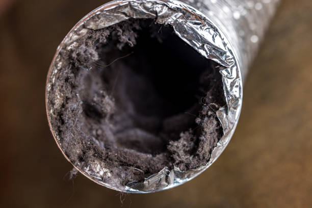 Best Air Duct Cleaning Near Me  in Owingsville, KY